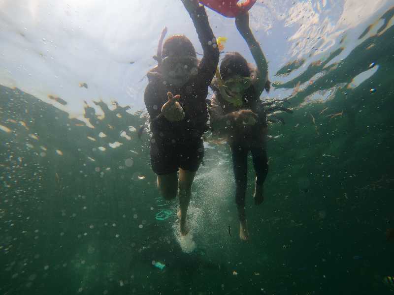 shwu 포토앨범 이미지